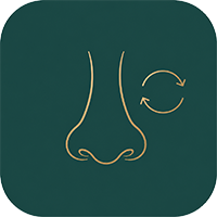 What should I pay attention to in nasal repair (nasal repair)? Preoperative must-read guide
