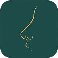 What is a Korean nose? Suitable for the crowd, comparison of surgical methods and common questions