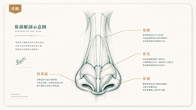 Full strategy for nasal plastic surgery
